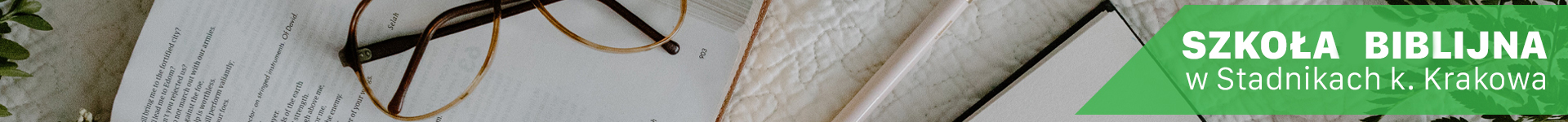 top-menu-banner