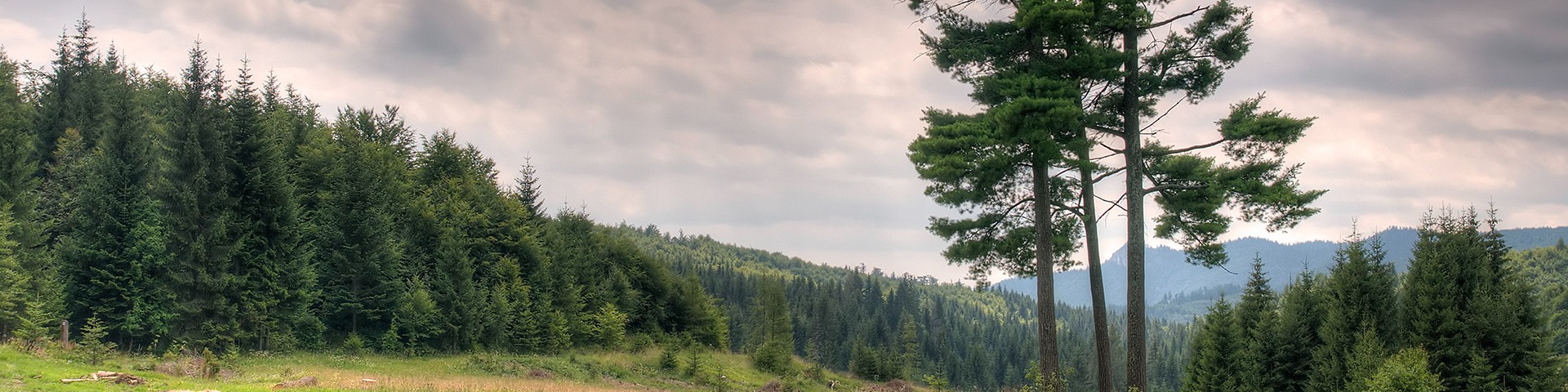 Gdzie ja jestem w relacji z Bogiem?