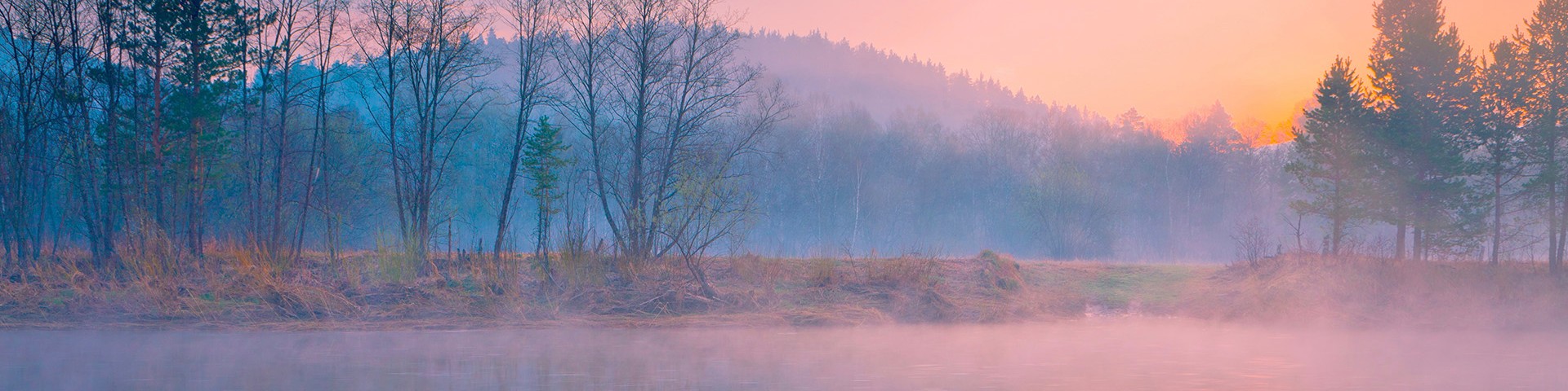 Rozpoznany