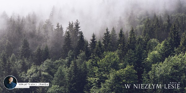 W Niezłym Lesie #18 - Pieśni naszych ojców