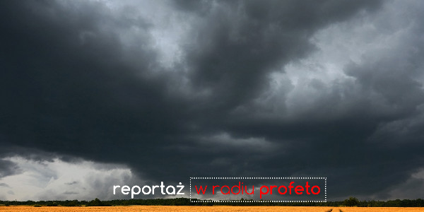 Reportaż - Maria Wnęk