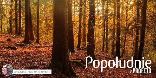 Popołudnie w Radiu Profeto - 2022-06-23