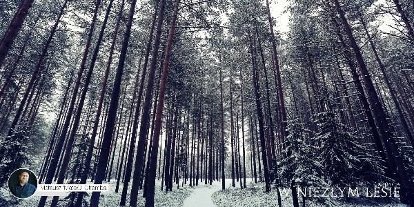 W Niezłym Lesie #23 - ojcostwo