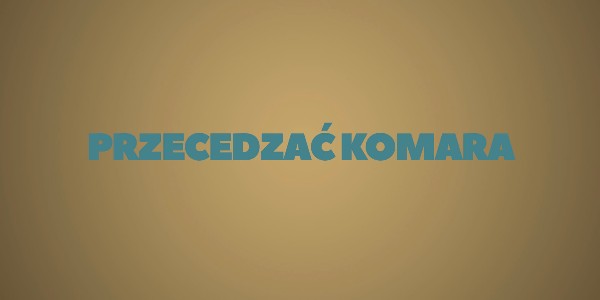 Jedno słowo - Przecedzać komara